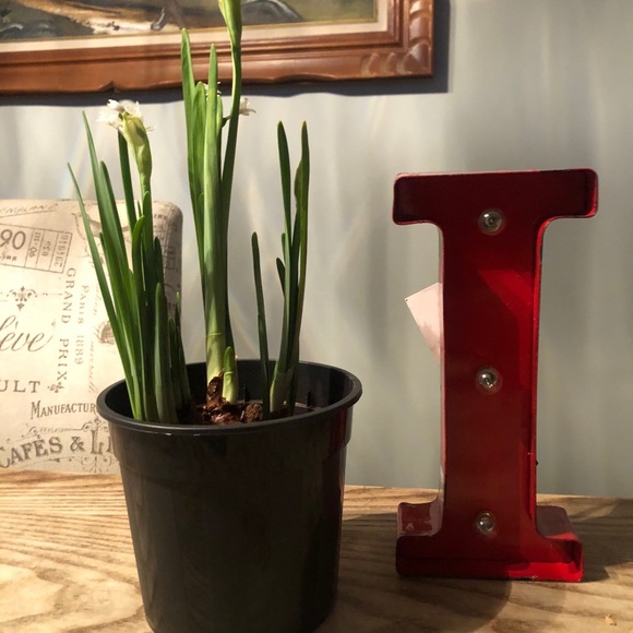 Red Vintage Look Marquee Letter “I”. (Item #2) - Picture 2 of 7